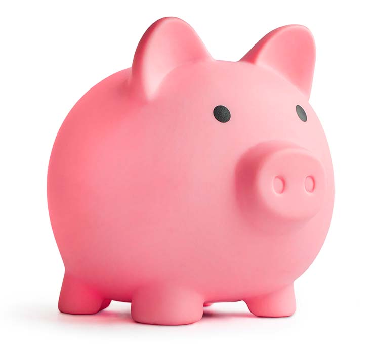 piggy bank
